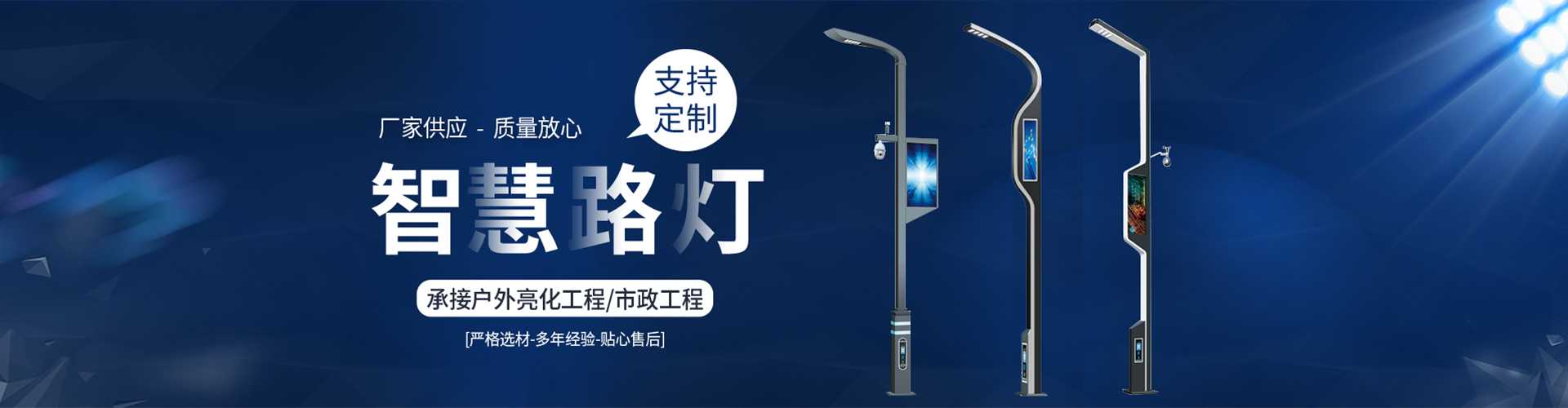 温州市太阳能路灯定制厂家
