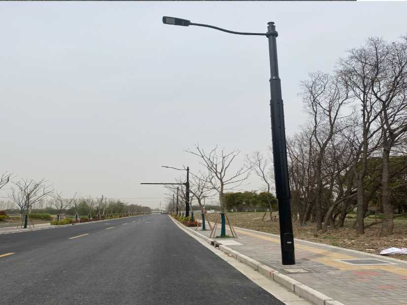 温州市上海综合杆 太阳能路灯工程